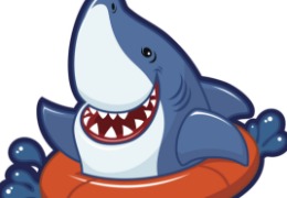 食品原料小百科：硫酸軟骨素可以用在什么地方？